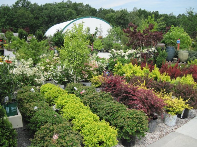 Bremec Of Concord Bremec Garden Design Centers